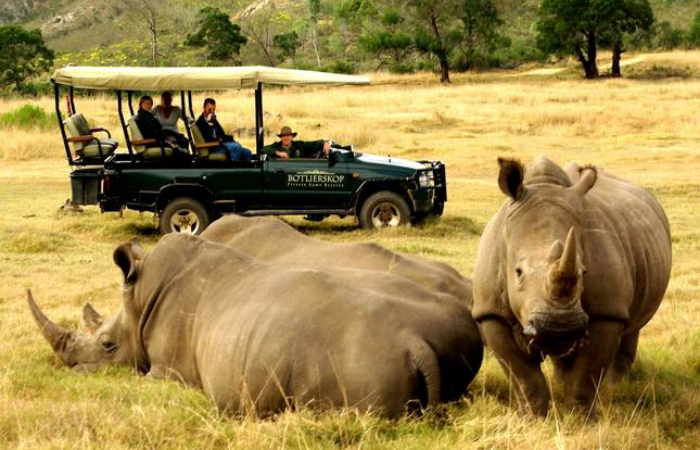 3 Day Addo National Park