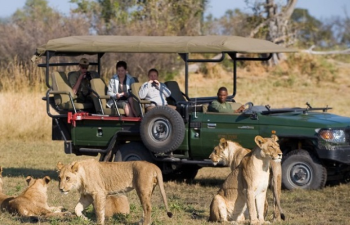 CAPE TOWN SAFARIS