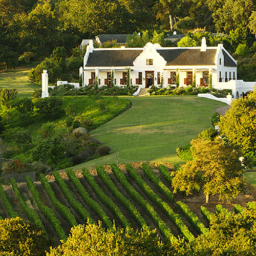 Cape Town Wine Tour