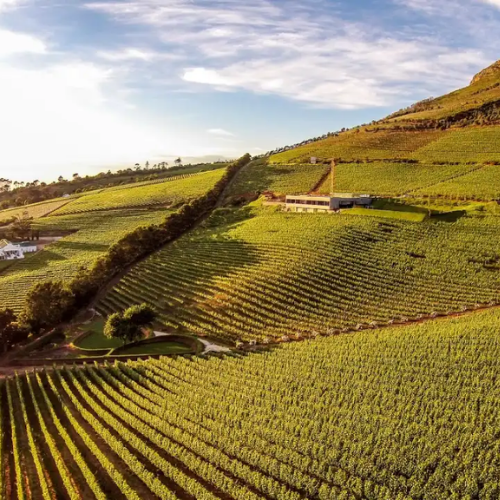 Cape town Wine tours