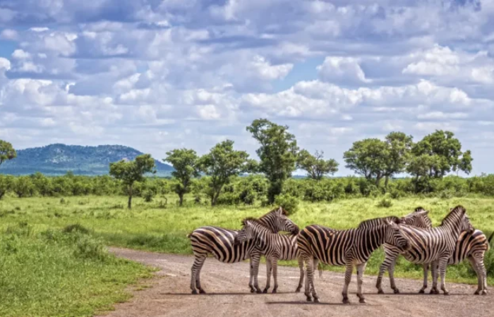 Game Reserves Cape Town