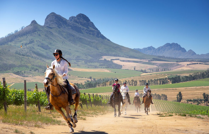 Horse Riding Cape Town