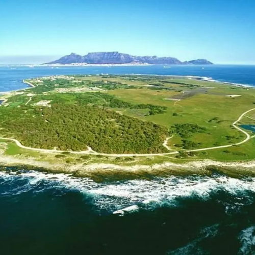 More Cape Town Tours