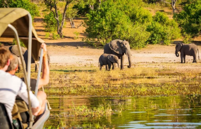 Multi-Day Safari Cape Town