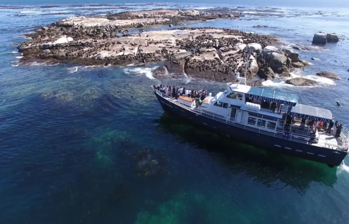 Seal Island Boat Trip
