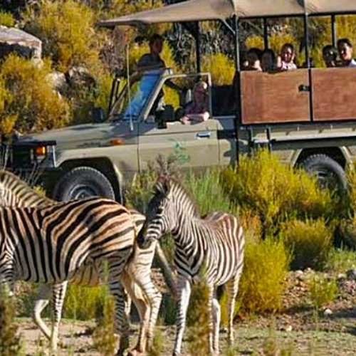 Top Overnight Safari Package