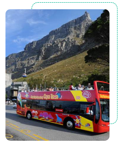 Trusted Cape Point Tour Company