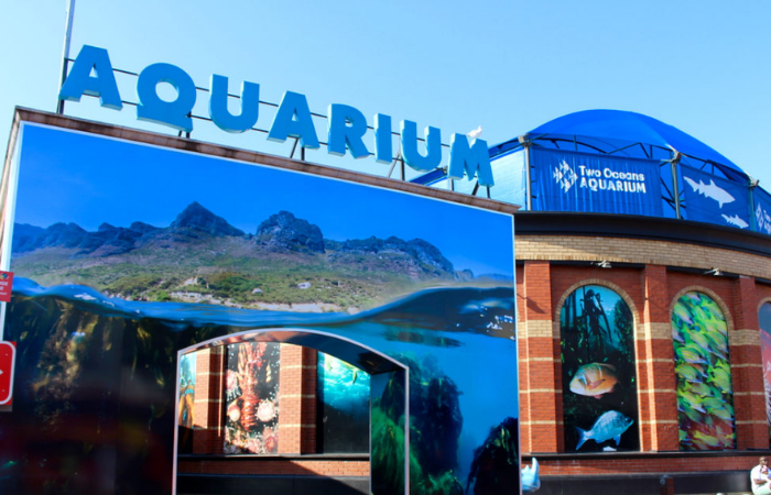 Two Oceans Aquarium